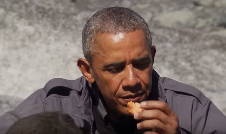 Ο Ομπάμα τρώει… τα αποφάγια μιας αρκούδας – ΒΙΝΤΕΟ