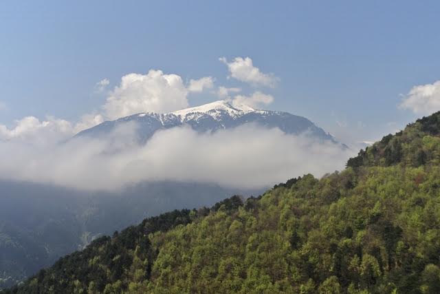 Ένας ελληνικός δρυμός ανάμεσα στα καλύτερα εθνικά πάρκα της Ευρώπης