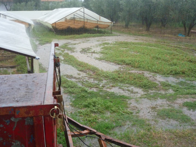 Καταστροφές στην Ξάνθη από την κακοκαιρία – ΒΙΝΤΕΟ