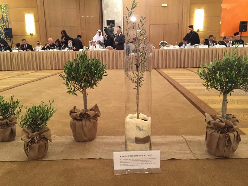 Σύμβολο ειρήνης η μικρή ελιά της Διεθνούς Διάσκεψης των Αθηνών