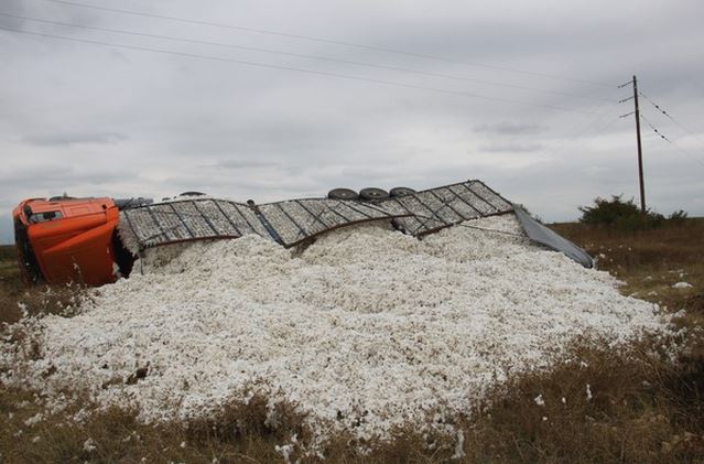 Γέμισε ο δρόμος με… βαμβάκι – ΦΩΤΟ