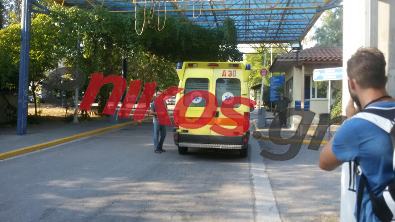 Αυτά αναφέρει το πόρισμα για την τραγωδία στο Δαφνί