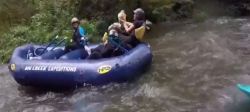 Μάχη γυναικών εν πλω – ΒΙΝΤΕΟ