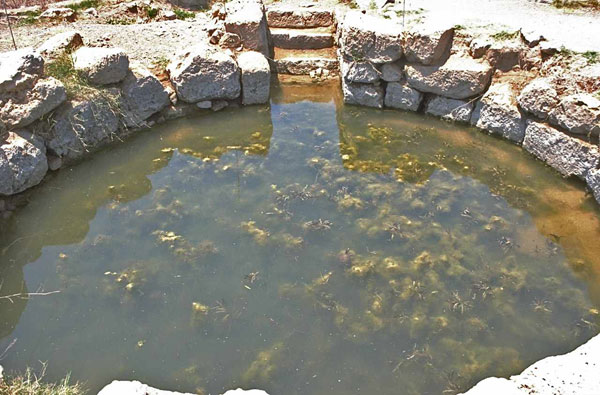 Θρήνος στη Λάρισα – Τρίχρονο αγοράκι πνίγηκε σε στέρνα