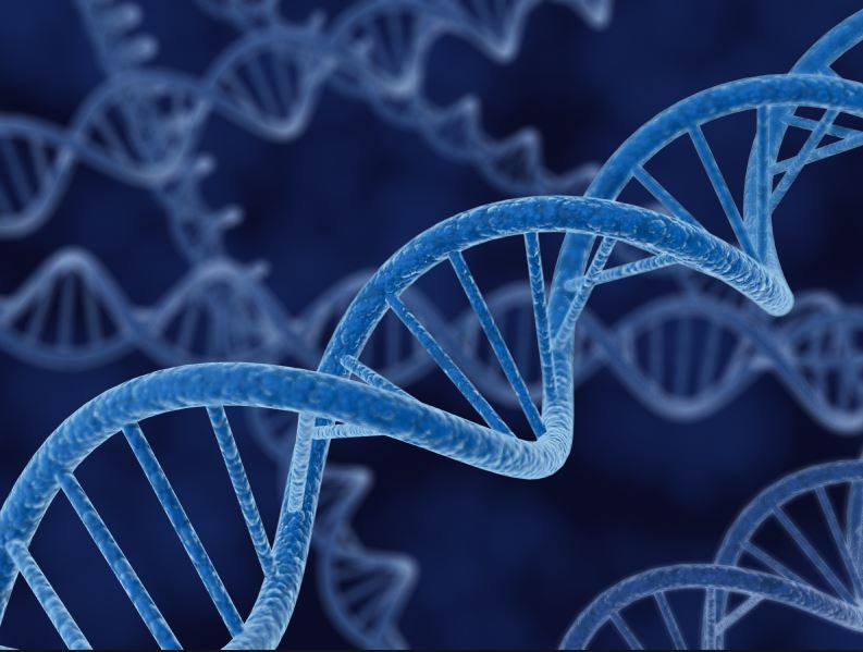 Νόμπελ Χημείας σε τρεις μηχανικούς αποκατάστασης του DNA