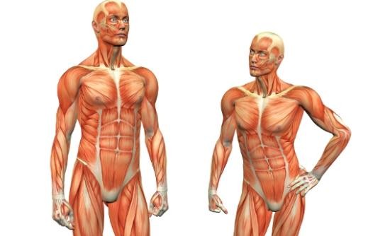 8 τροφές για την ανάπτυξη μυών