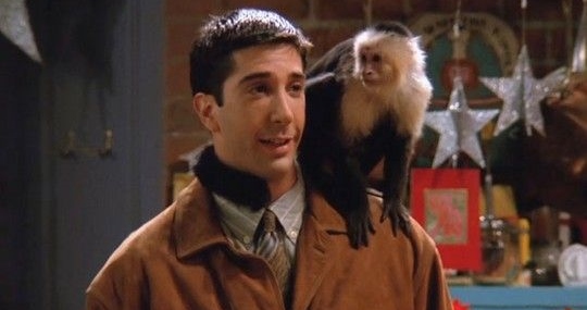 Δείτε πως είναι σήμερα ο Ρος από τα Φιλαράκια – ΦΩΤΟ