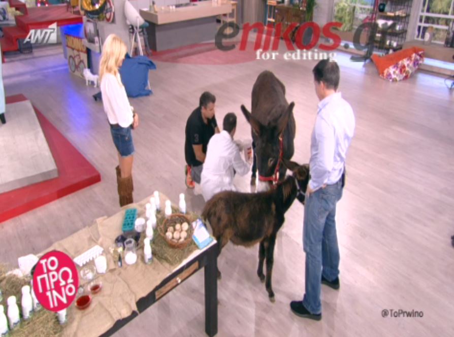 O Λιάγκας αρμέγει οn air – ΒΙΝΤΕΟ