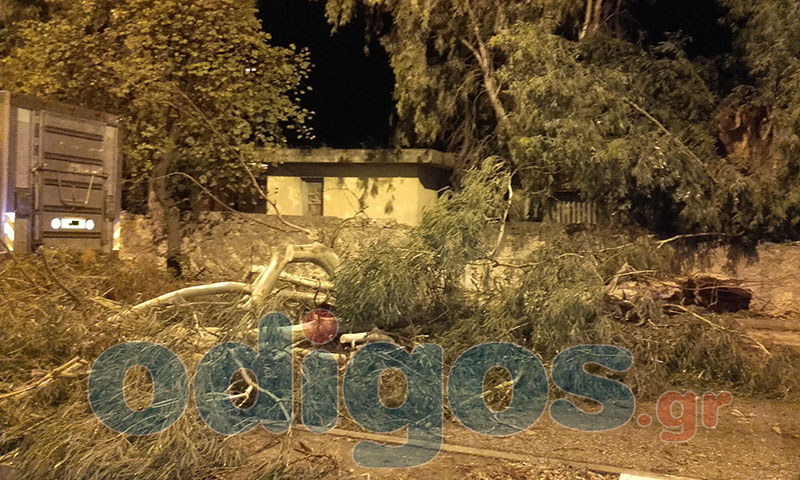 Μεγάλες καταστροφές από ανεμοστρόβιλο στον Πύργο – ΦΩΤΟ