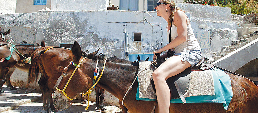 Εκστρατεία προστασίας: «Σώστε τα γαϊδουράκια της Σαντορίνης»