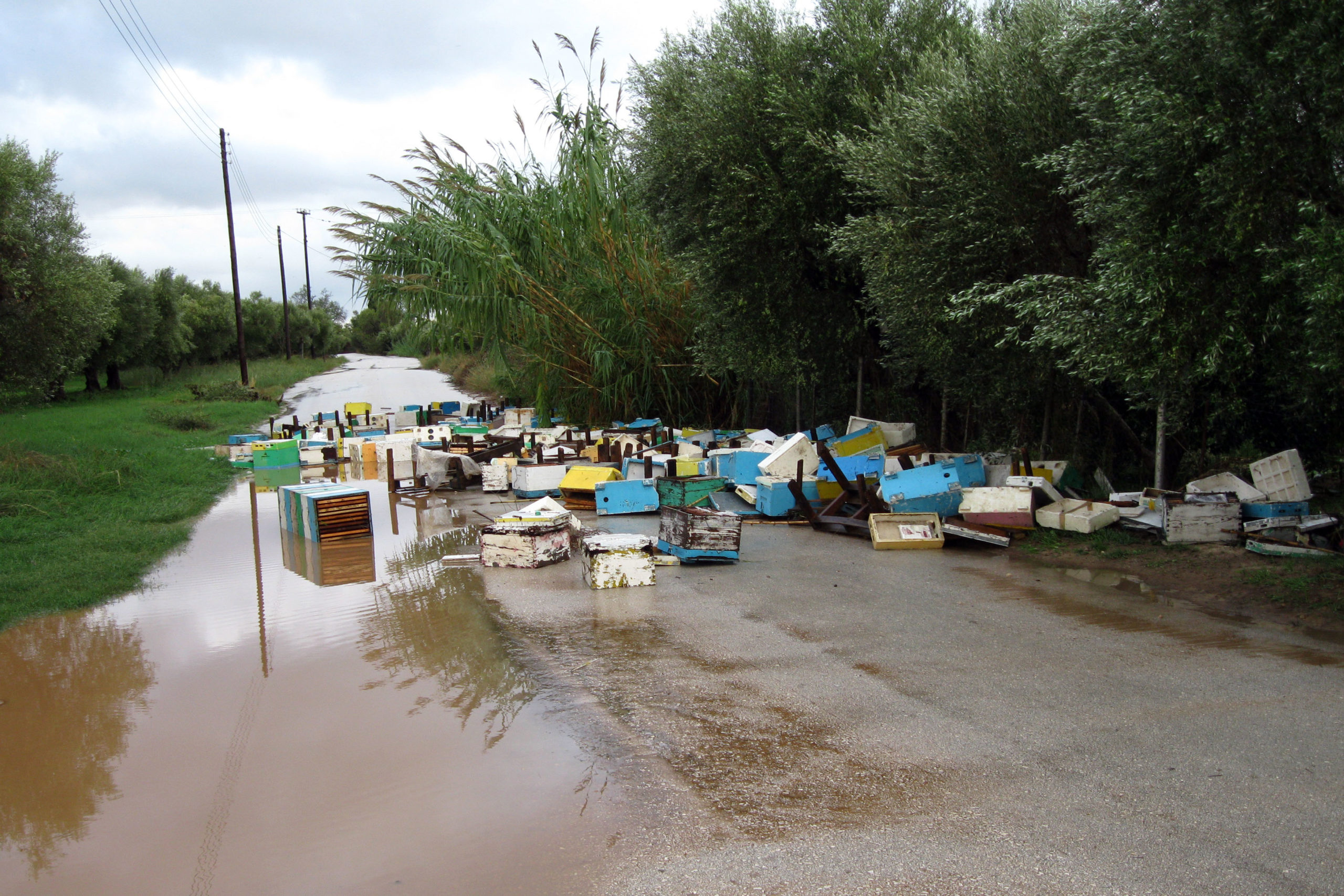 Οι αλλαγές στην αποζημίωση από φυσικές καταστροφές – Επισπεύδονται και διευκολύνονται οι διαδικασίες