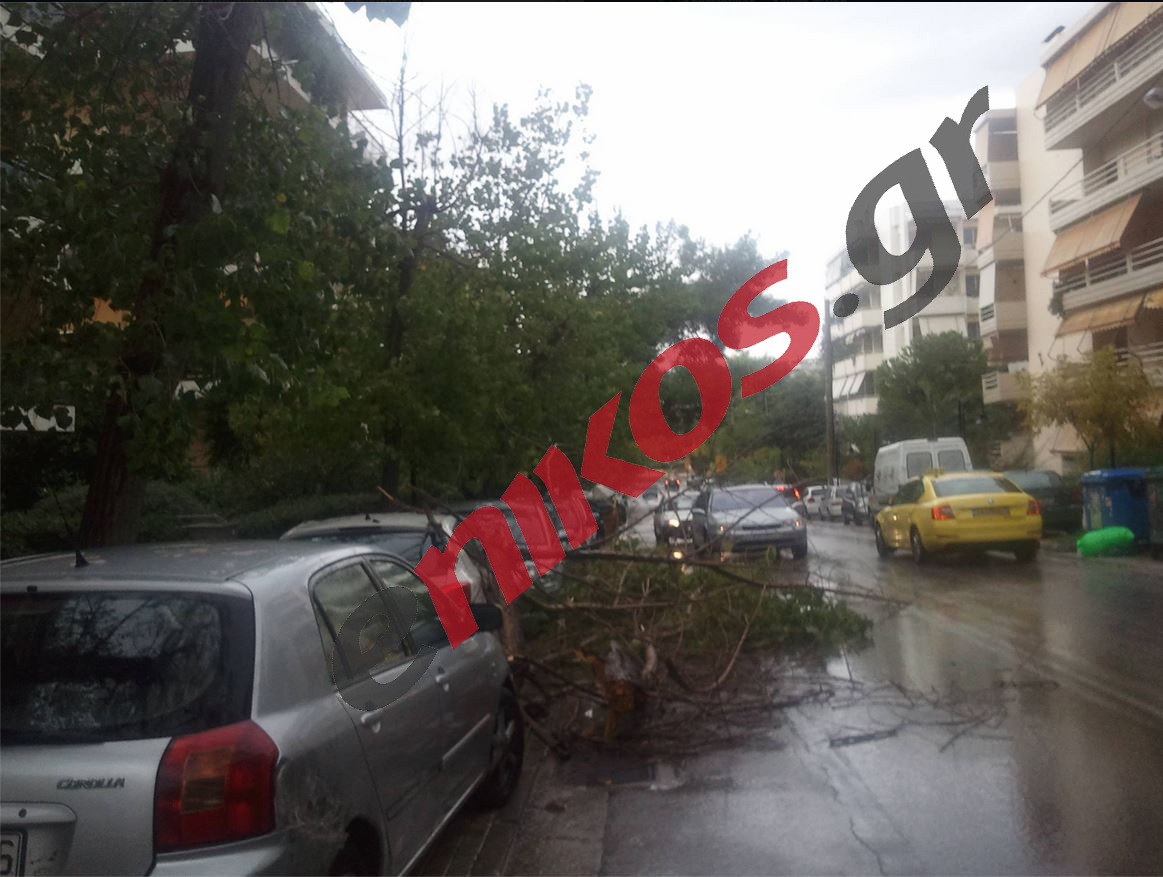 Κεραυνός “χτύπησε” δέντρο στον Χολαργό – ΦΩΤΟ