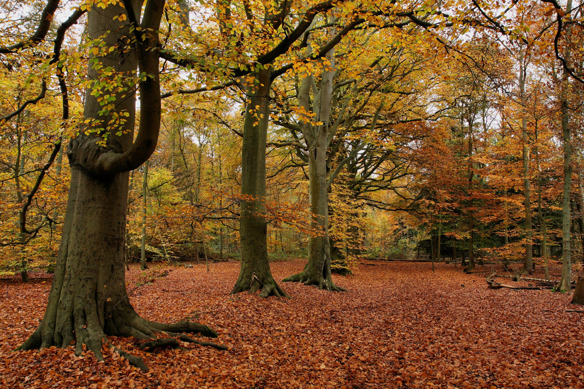 Οι 10 πιο γραφικοί φθινοπωρινοί προορισμοί