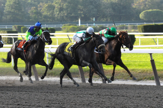 Ιπποδρομιακό Στοίχημα: Έσοδα 40,5 εκατ. ευρώ για το ελληνικό δημόσιο