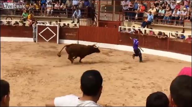 Έμαθε για τα καλά τι σημαίνει… μαινόμενος ταύρος – ΒΙΝΤΕΟ