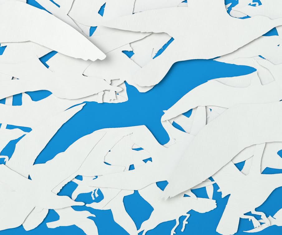 “Ο Γλάρος Ιωνάθαν” στο Άσυλο Ανιάτων