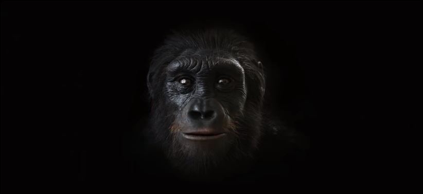 Η εξέλιξη του ανθρώπου σε 1 λεπτό – ΒΙΝΤΕΟ