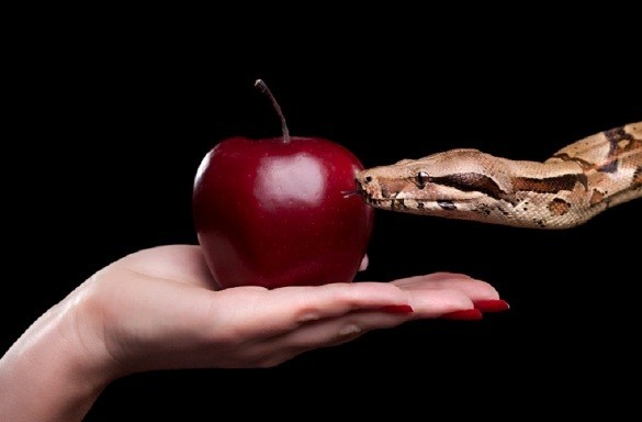 Ο τρόπος να προλάβετε μια απιστία