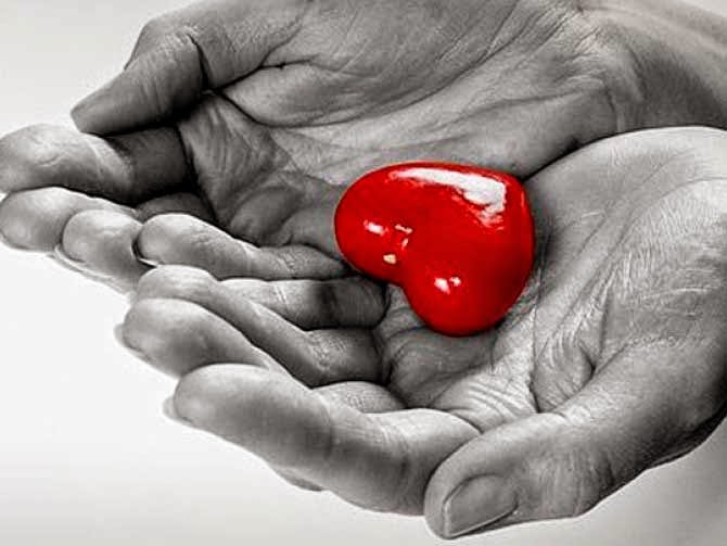 Πανελλήνια Ημέρα Δωρεάς Οργάνων