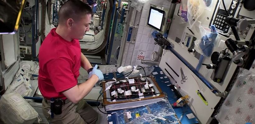 Οι αστροναύτες τίμησαν τη μνήμη των θυμάτων στο Παρίσι- ΒΙΝΤΕΟ