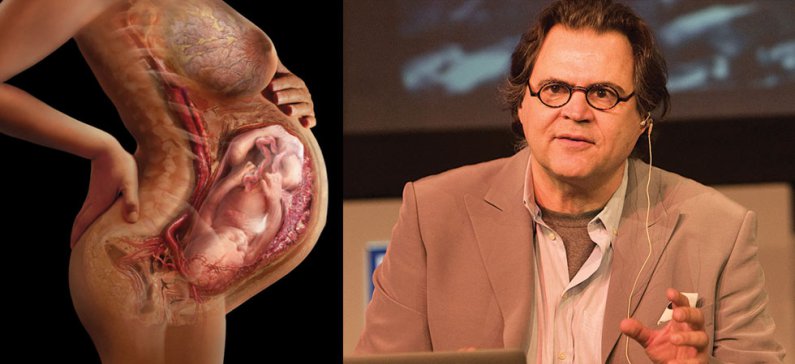 Έλληνας απεικόνισε σε βίντεο το έμβρυο από τη σύλληψη μέχρι τη γέννηση