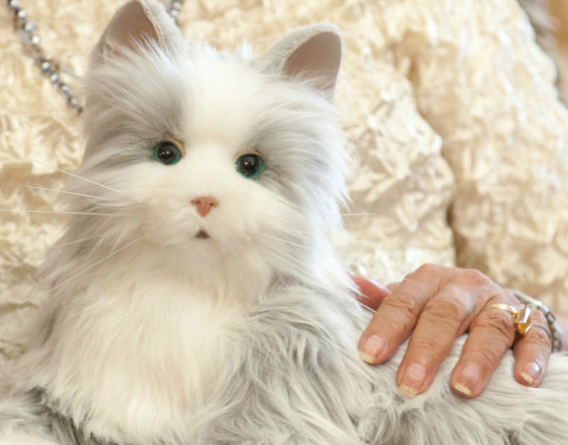 Μία ρομποτική γάτα για… ηλικιωμένους – ΦΩΤΟ