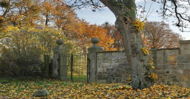 Εσύ μπορείς να εντοπίσεις τη γυναίκα σε αυτή τη φωτογραφία; – ΦΩΤΟ