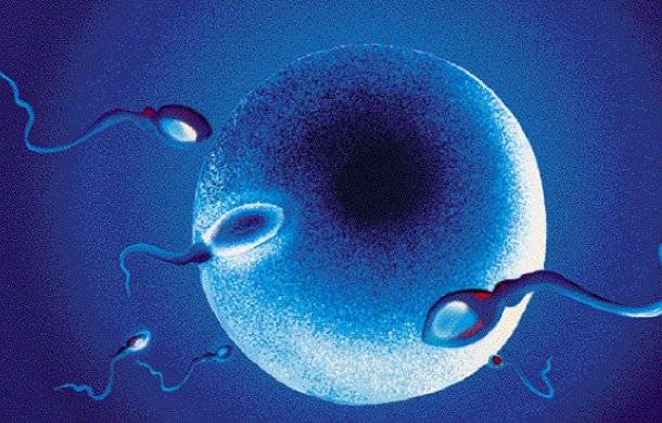 Πόσα ωάρια έχω ακόμη στις ωοθήκες μου;