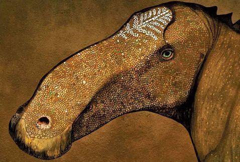 Ανακάλυψαν νέο είδος δεινοσαύρου, τη Σούπερπαπια – ΦΩΤΟ