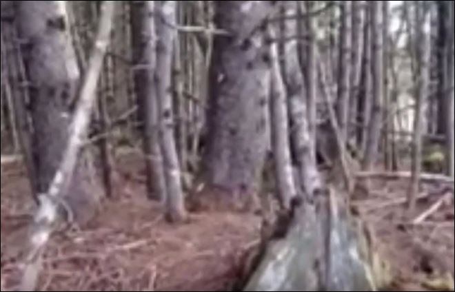 Το βίντεο που έχει προκαλέσει σάλο στα social media – Η γη… αναπνέει