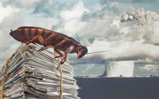 Οι κατσαρίδες θα μπορούσαν να επιβιώσουν μιας πυρηνικής καταστροφής;