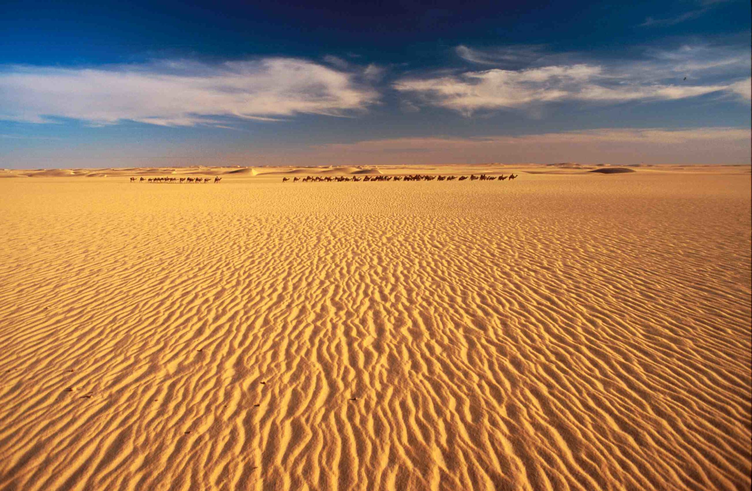 Ανακάλυψη: Η Σαχάρα κάποτε ήταν γεμάτη ποτάμια – ΦΩΤΟ