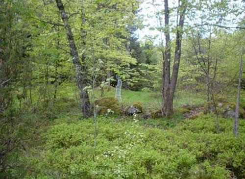 Perierga.gr - Φάντασμα από συρματόπλεγμα