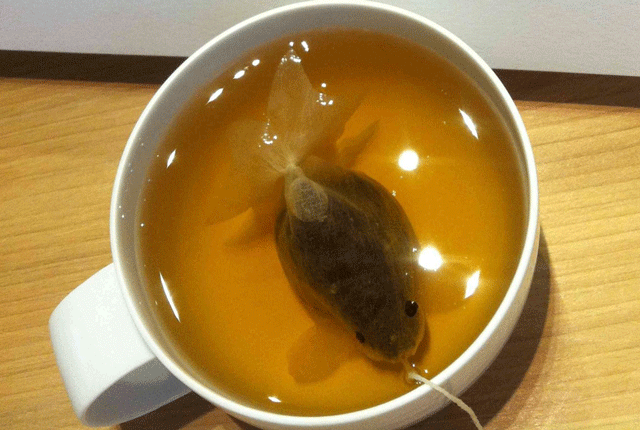 Εντυπωσιακά φακελάκια τσαγιού σε σχήμα χρυσόψαρου – ΦΩΤΟ