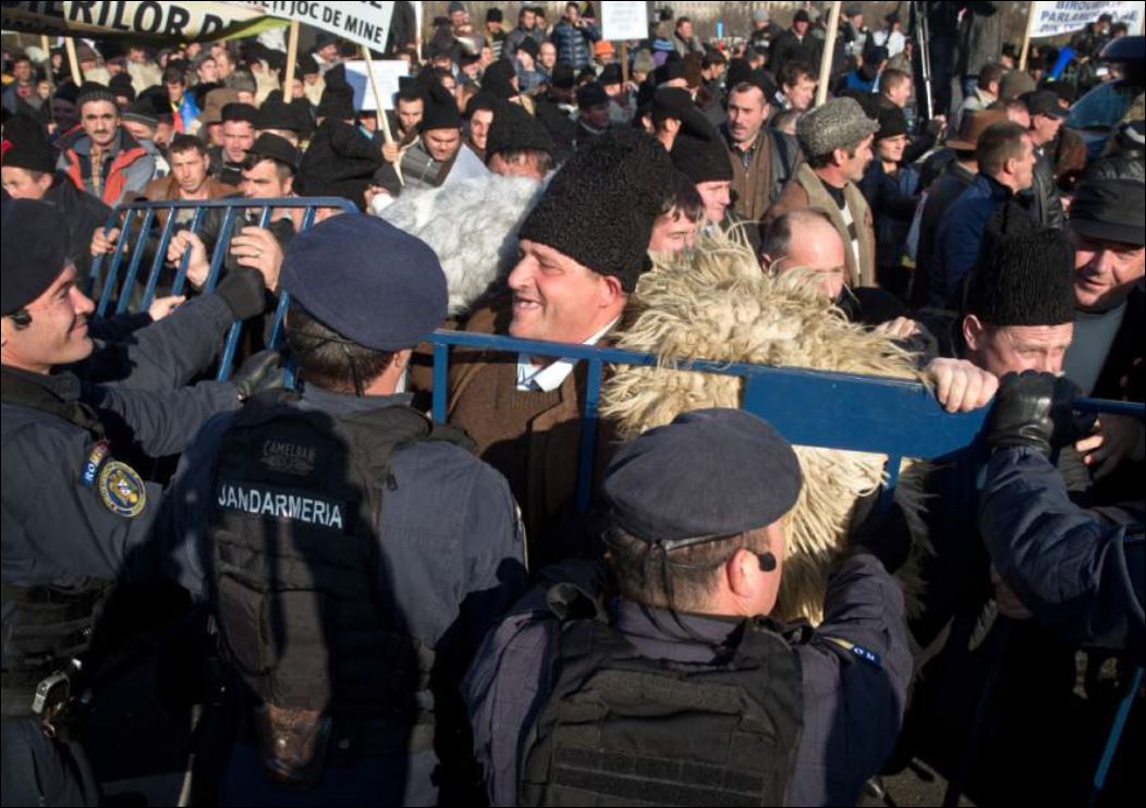 Ρουμανία – Επεισόδια μεταξύ αστυνομικών και βοσκών για τα… τσοπανόσκυλα – ΦΩΤΟ