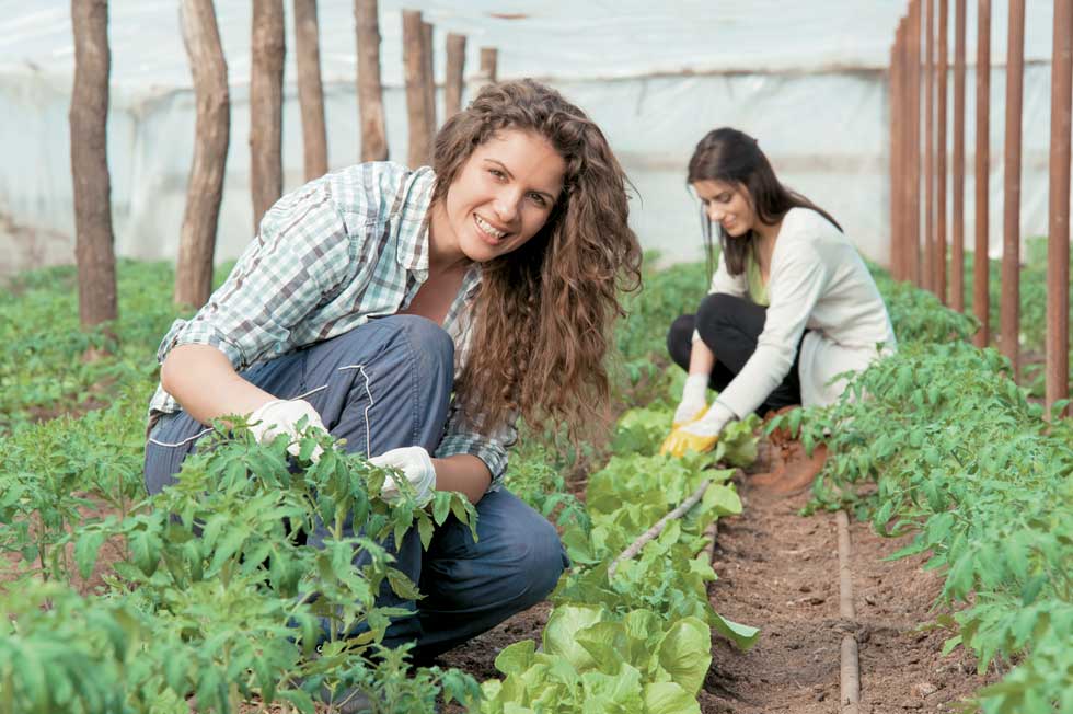 Οι αυξήσεις στις εισφορές του ΟΓΑ μέχρι το 2018