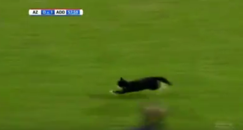 Γάτος εισέβαλε στον αγωνιστικό χώρο – ΒΙΝΤΕΟ