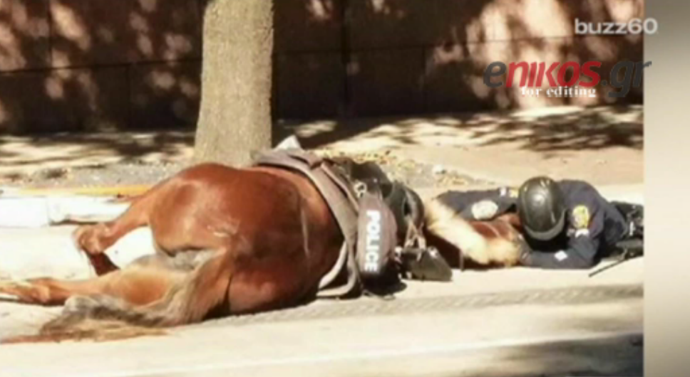 Η εικόνα που ραγίζει καρδιές – Αστυνομικός “αποχαιρετά” το άλογο του – ΒΙΝΤΕΟ