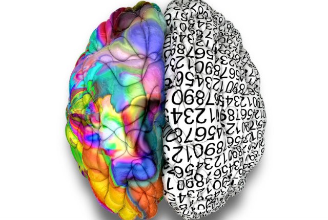 Κουίζ – Ποιο από τα δυο μέρη του εγκεφάλου σας είναι κυρίαρχο;