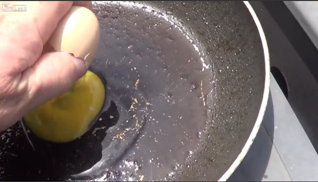 Αυγά… μάτια από τον καύσωνα στην Αυστραλία – ΒΙΝΤΕΟ