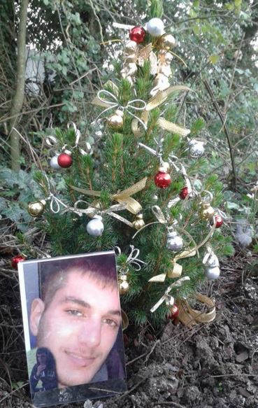 Ο “χριστουγεννιάτικος κήπος” του Βαγγέλη Γιακουμάκη – ΦΩΤΟ