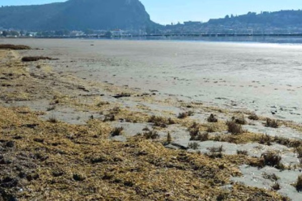 Το μεγαλείο της φύσης. Εξαφανίστηκε η θάλασσα στο Ναύπλιο – ΒΙΝΤΕΟ