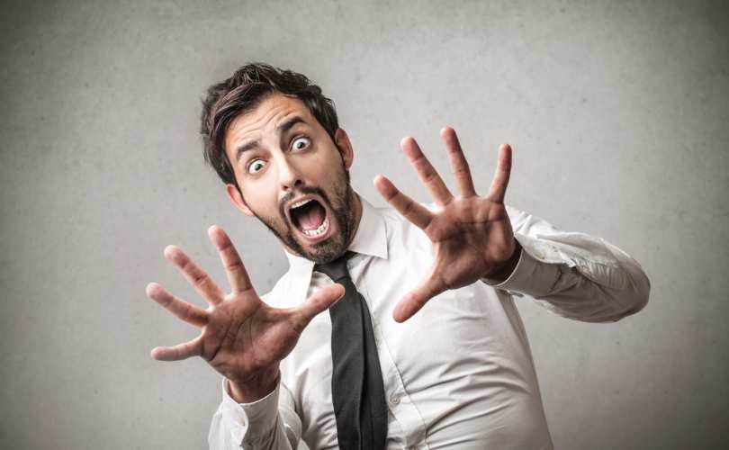 Αυτή η αράχνη είναι ό,τι πιο τρομακτικό έχετε δει – ΦΩΤΟ