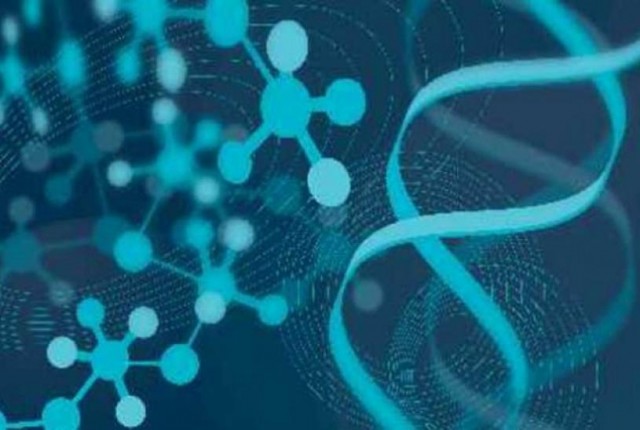 Ποιο γονίδιο παρατείνει τη ζωή κατά 25%;