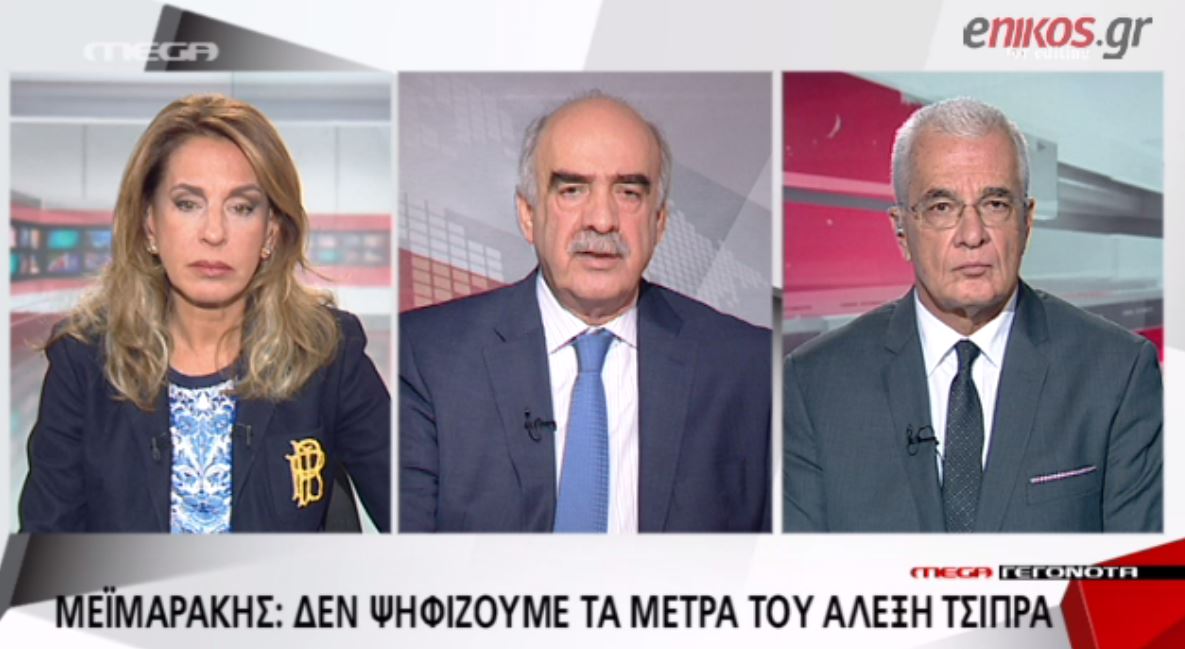 Μεϊμαράκης: Κανείς δεν μπορεί να εγγυηθεί ποτέ ότι η διαδικασία θα είναι αδιάβλητη – ΒΙΝΤΕΟ