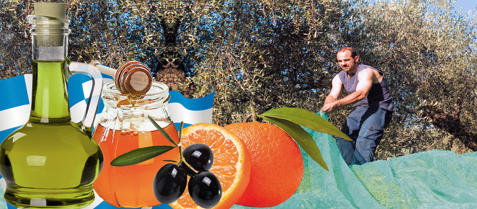 Τα επτά ελληνικά προϊόντα που σαρώνουν στις διεθνείς αγορές