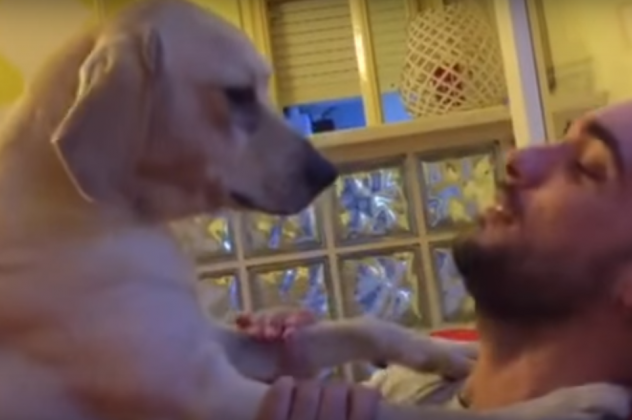 Ένας σκύλος ζητά συγγνώμη για τις ζαβολιές του – ΒΙΝΤΕΟ