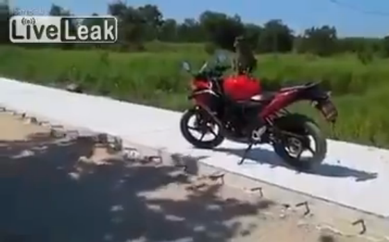 Μαϊμού επιτέθηκε σε οδηγό μοτοσικλέτας – ΒΙΝΤΕΟ