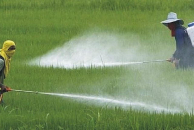 Ποιες τροφές έχoυν τα περισσότερα και τα λιγότερα φυτοφάρμακα