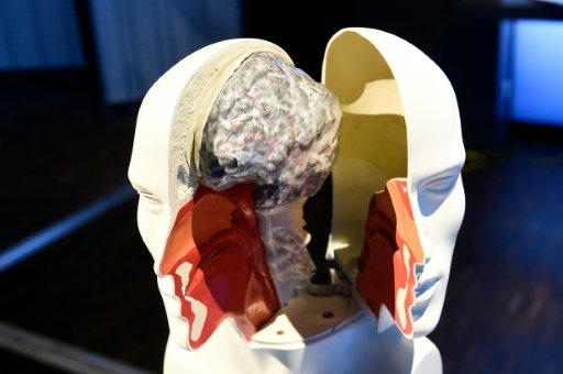 Ο πρώτος υπολογιστής που μαθαίνει το ίδιο γρήγορα με τον άνθρωπο